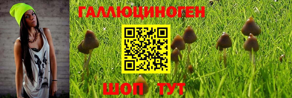 Галлюциногенные грибы прущие грибы Тула