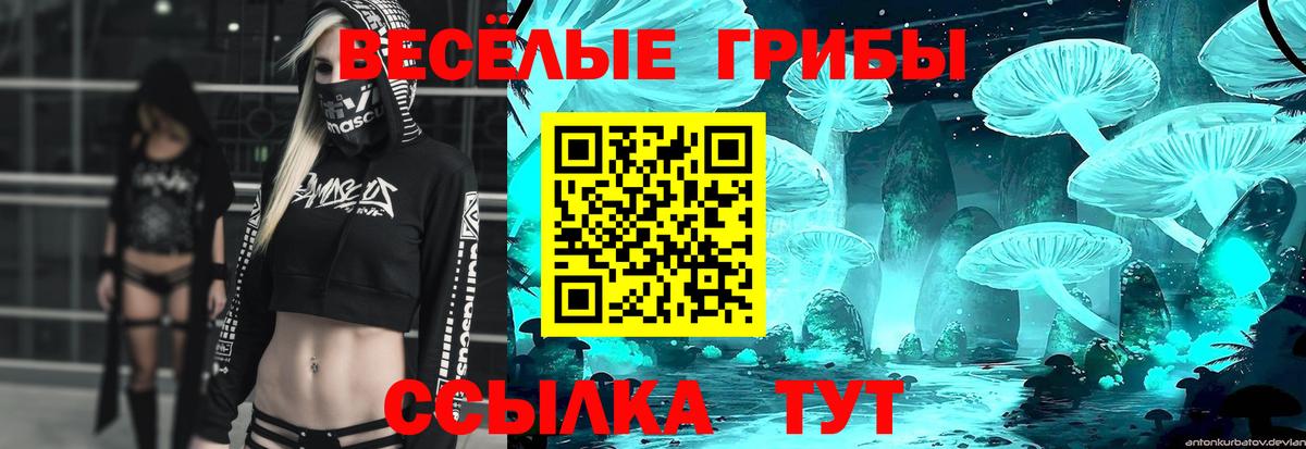 Галлюциногенные грибы мицелий  Галлюциногенные грибы GOLDEN TEACHER  Вход с VPN  Тула 
